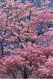 糖豆人将于9月14日加入《超级炸弹人R2》